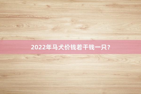 2022年马犬价钱若干钱一只？